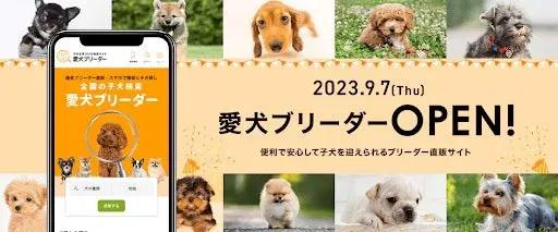 ブリーダー 無料で素晴らしい出会いを！失敗しないための「必須」知識と安全な探し方